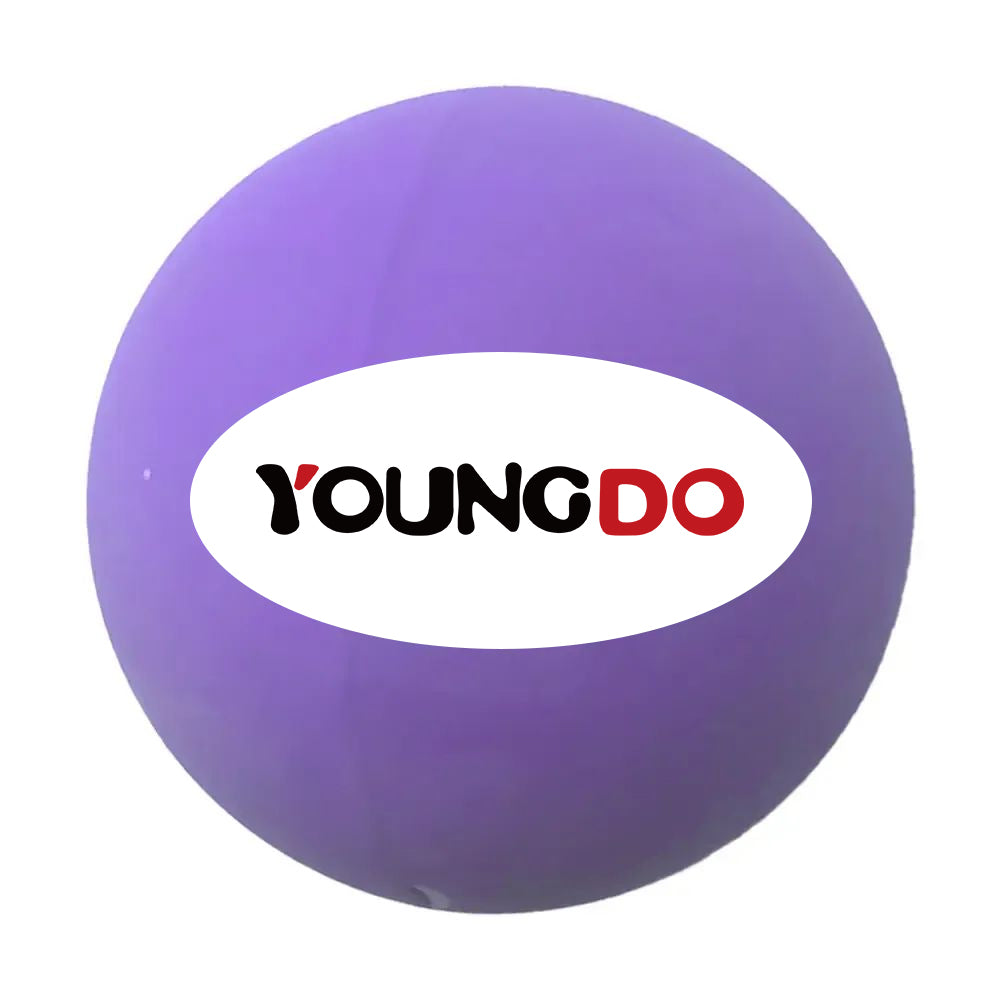 YOUNGDO Dodgeball Playground Balls, Pack of 1 Balls with 1 Pump, Official Size for Dodge Ball, Handball, Camps and Schools